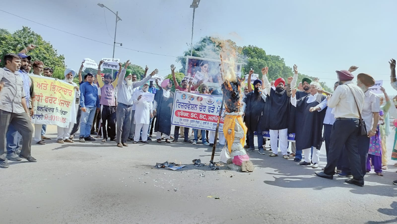 विरोध में सीएम मान, एमपी कंग और विधायक कुलवंत सिंह के पुतले फूंके गए